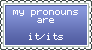 it its pronouns